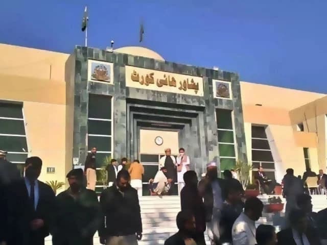 PHC summons Peshawar BISE chairman, controller of examinations over student awarded 'zero' in biology