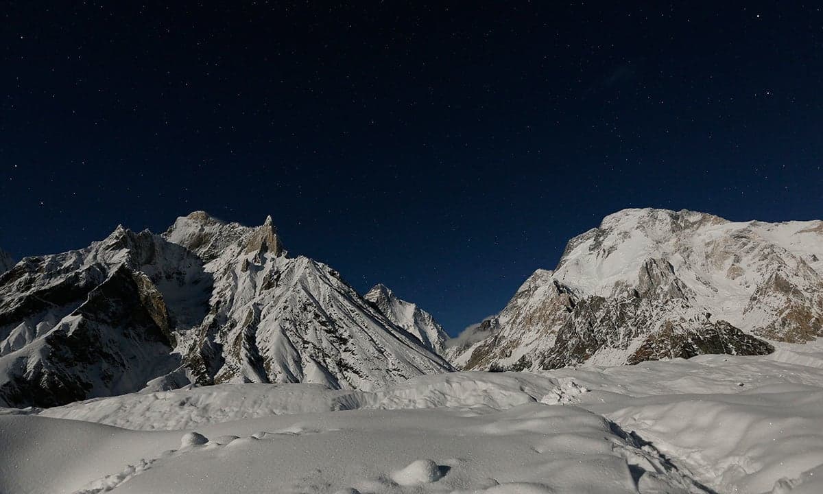 The broad peak of life