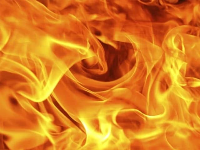 Trucker attempts self immolation at DG Khan checkpost