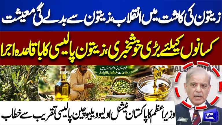 LiveDunya VideosHomeShowsMust WatchSpeechesHeadlinesLivePopularShort VideosDunya Meher Bokhari Kay