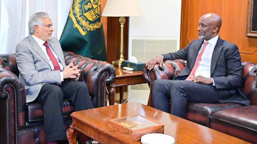 Deputy Prime Minister Ishaq Dar bids farewell to UN Resident Coordinator Mohamed Yahya